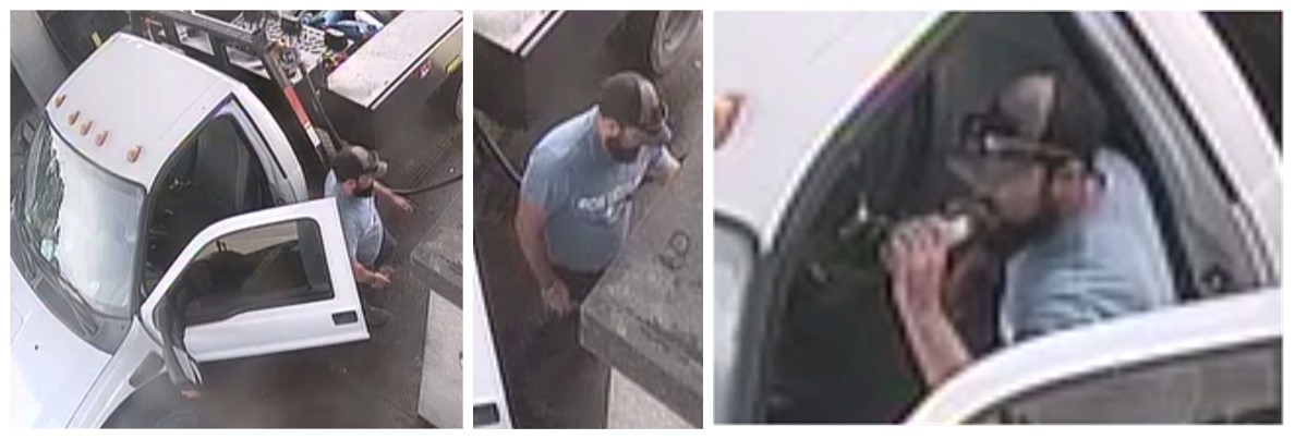 Photo collage of bearded suspect at his white truck wearing a black and grey ball cap with a light blue t-shirt and sunglasses. 